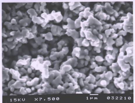 SEM of solid oxide fuel cell anode powder (Nickel Cermet)
